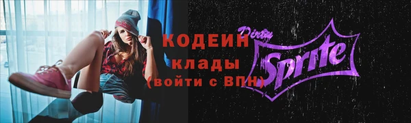дживик Вязьма