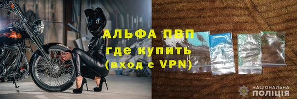 дживик Вязьма