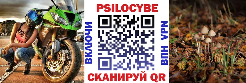 Галлюциногенные грибы MAGIC MUSHROOMS  Дзержинский 